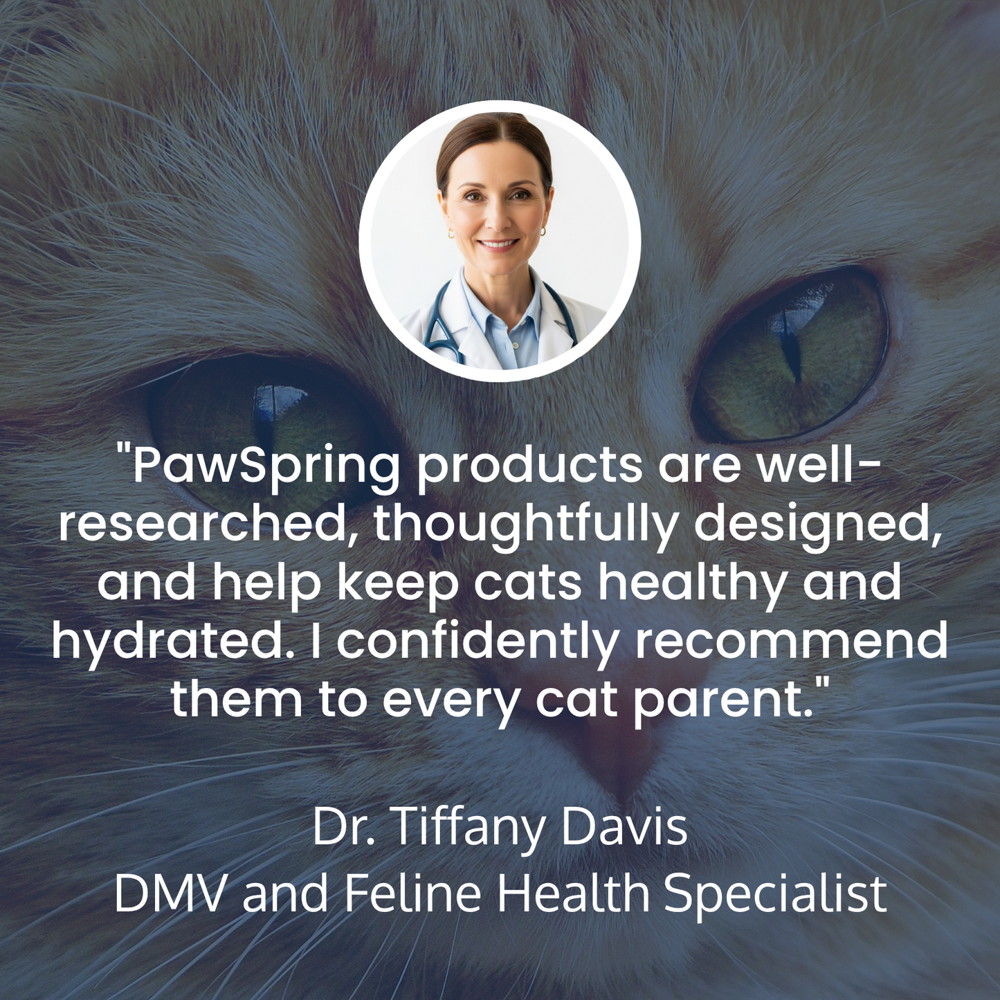 Give Healthy Years to Your Cat's Life with PawSpring™
