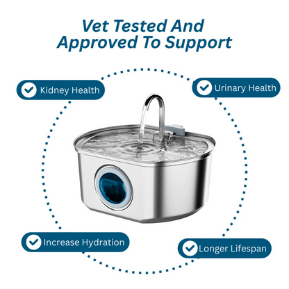 Give Healthy Years to Your Cat's Life with PawSpring™