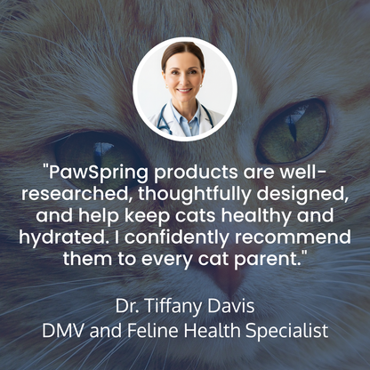 Give Healthy Years to Your Cat's Life with PawSpring™
