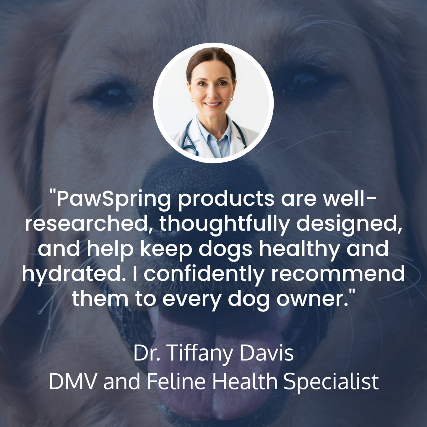 Give Healthy Years to Your Dog's Life with PawSpring™